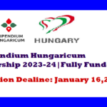 Hungary-Government-Scholarship-2024.